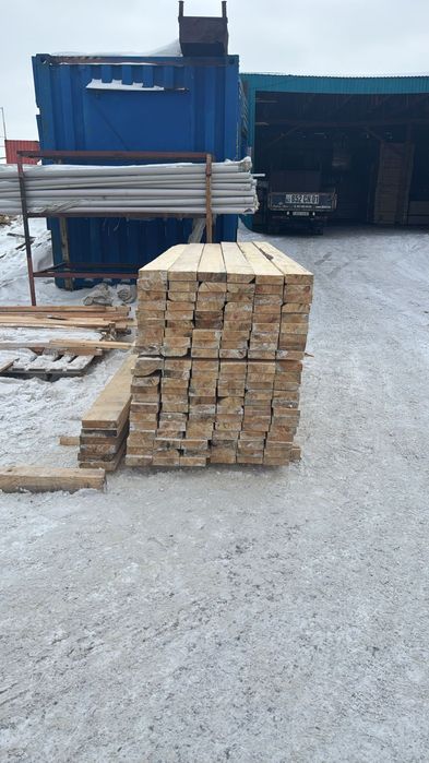 Лес Россия Курган