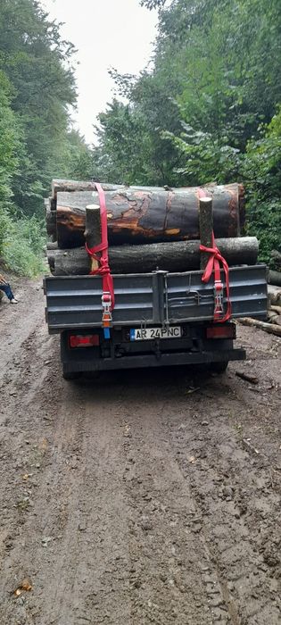 Lemne de vânzare Județul Arad
