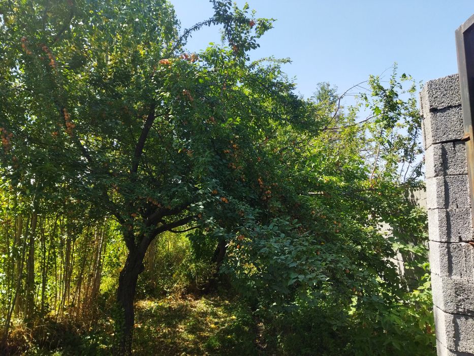 ҮЙ сатылады     .