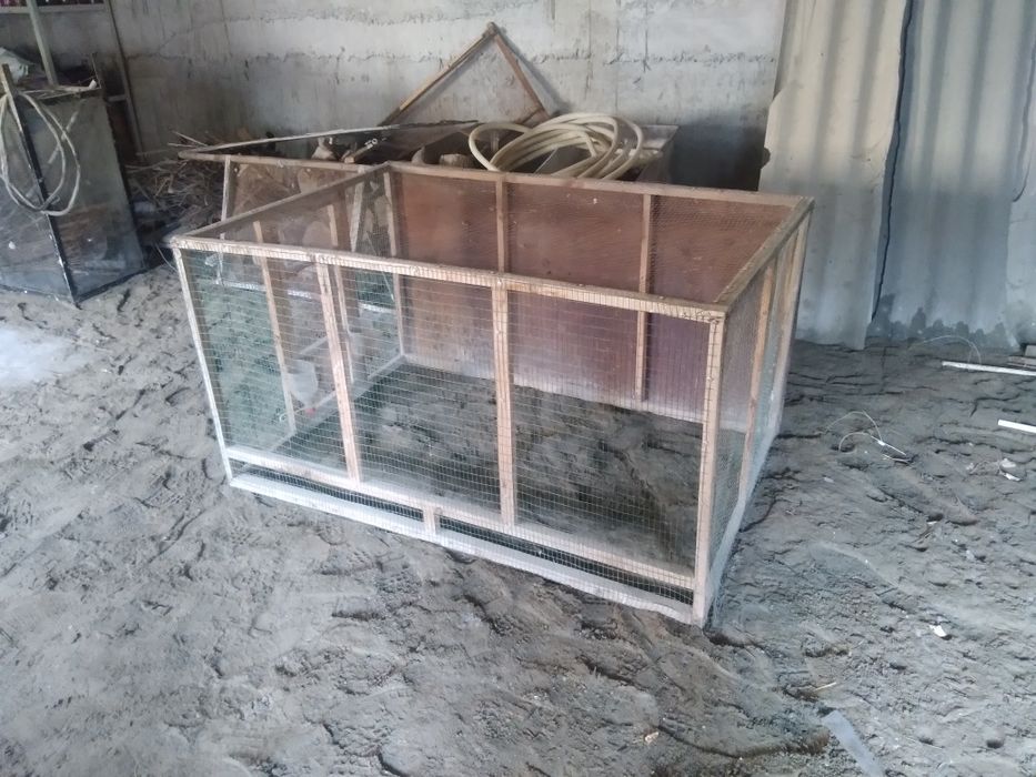 Tovuq katak sotiladi