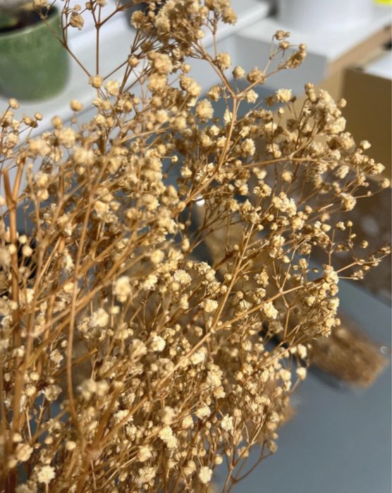 3 buchete floare miresei uscata