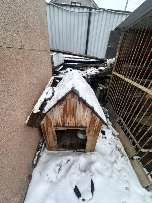 продается валлер для собаки,