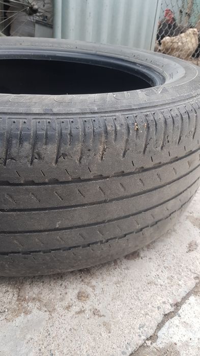 Летние Brigestone