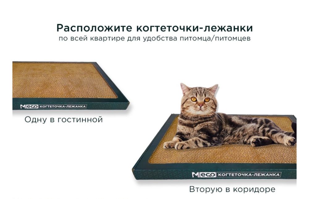 Когтеточка для кошек