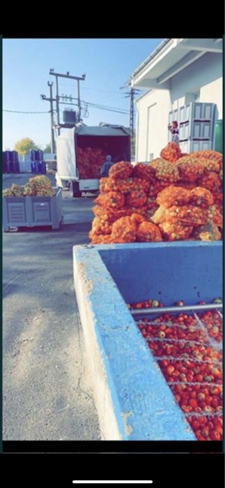 Vand mere industrie si consum ASIGUR TRANSPORT!