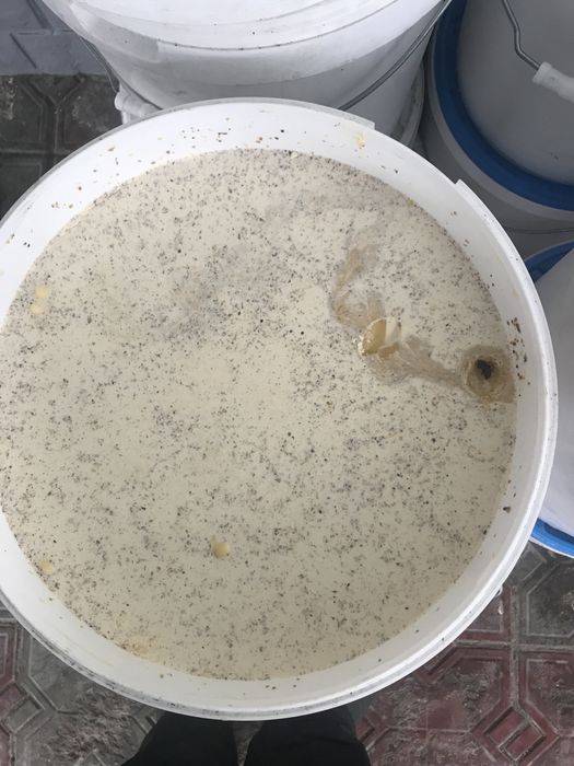 Мед. Восточный Казахстан. Разнотравье.