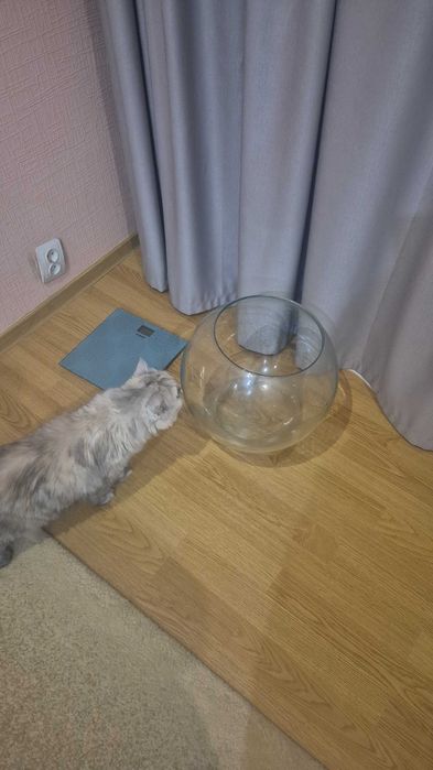 Аквариум круглый на подставке