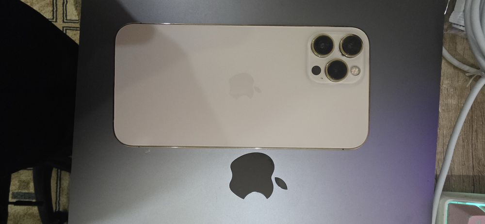 Iphone 12 Pro Max 256 Gb