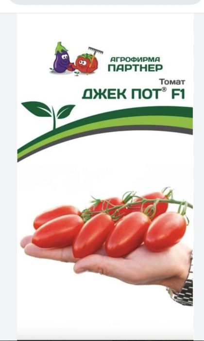 Продам рассаду помидоры джекпот
