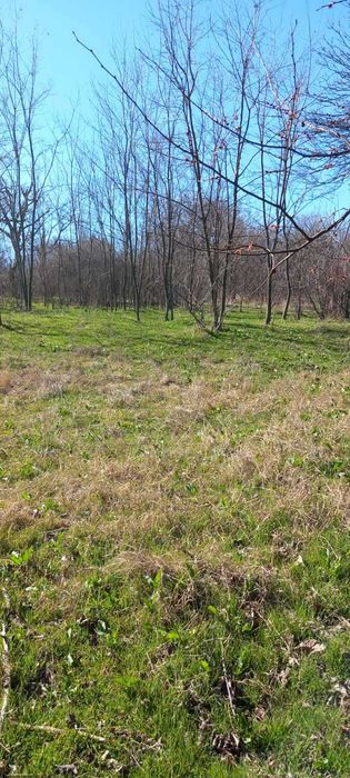 Продава се Къща в с. Опан, Област Стара Загора - 50 кв.м за 380 €/кв.м - Снимка #5