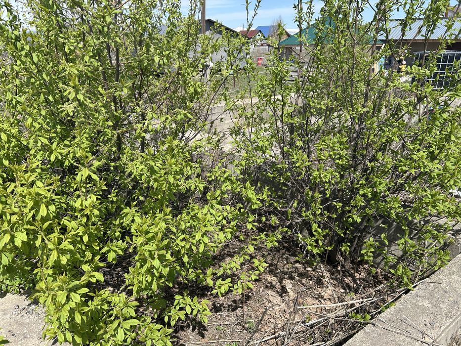 Земельный участок с баней