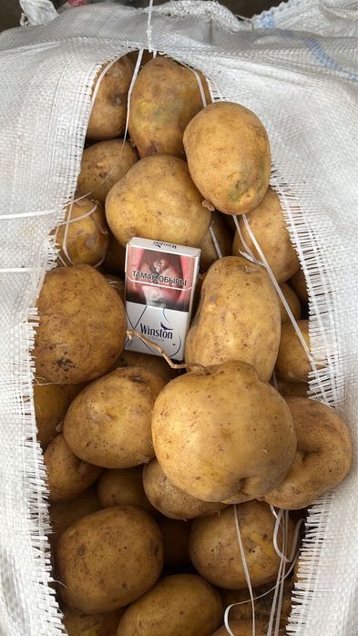 Картофель картошка