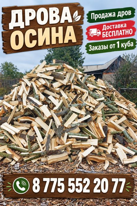 Дрова осина, береза, сосна