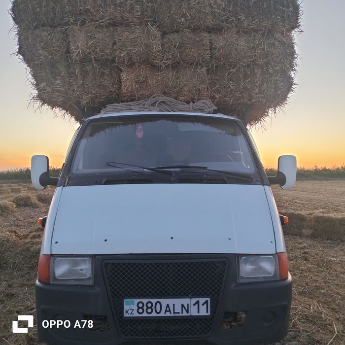 Сабан прес сабан