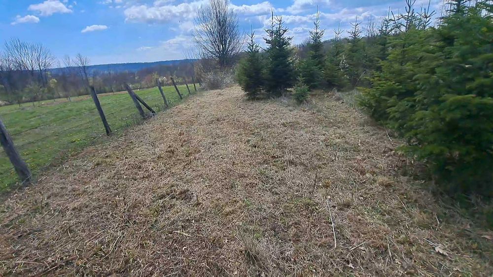 Servicii tocatre crengi/tocare vegetatie