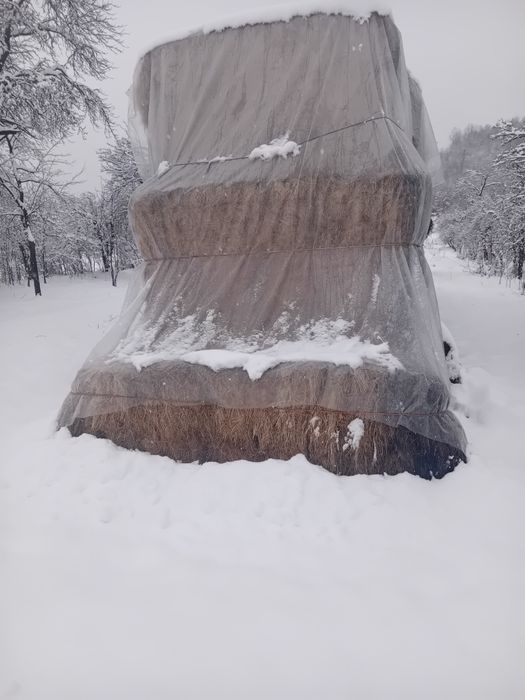 Baloti mari fan amestec lucerna