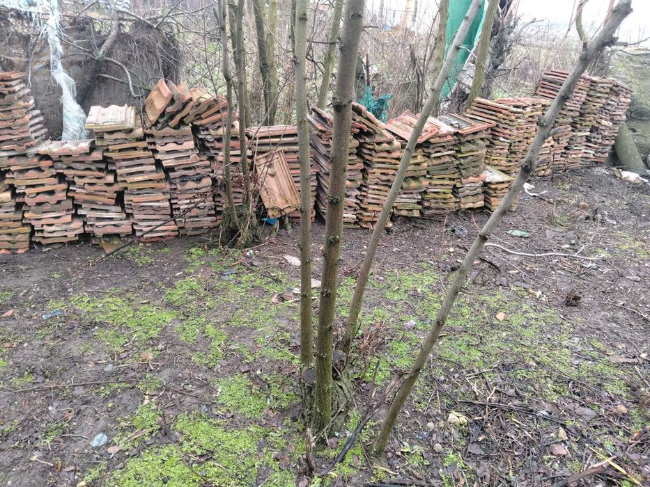 Titlu: Țiglă ceramică + olane ceramice (U) – Constanța, Cuza Vodă