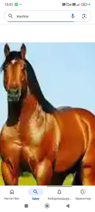 Продам тайчиков с откорма