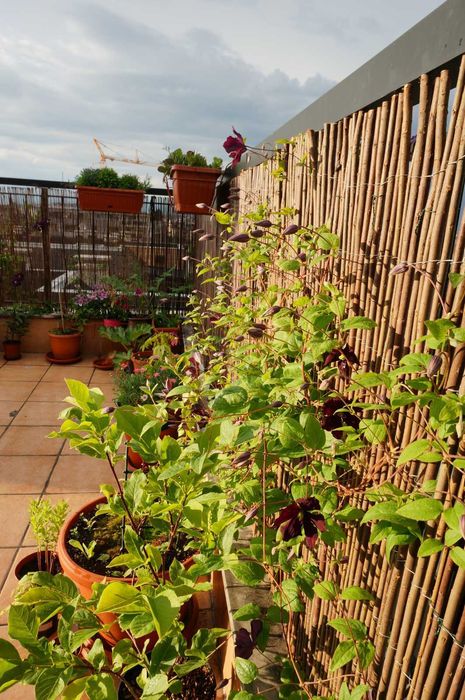 Продава се Двустаен апартамент в София, Овча купел - 141 кв.м за 1348 €/кв.м - Снимка #14