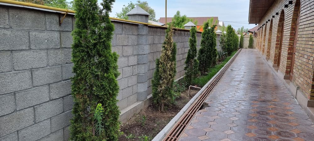 Качественный пескоблок 250