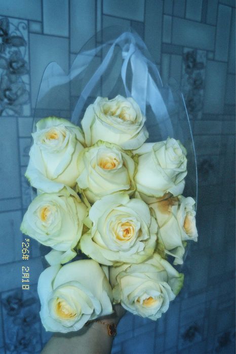 Цветы розы.