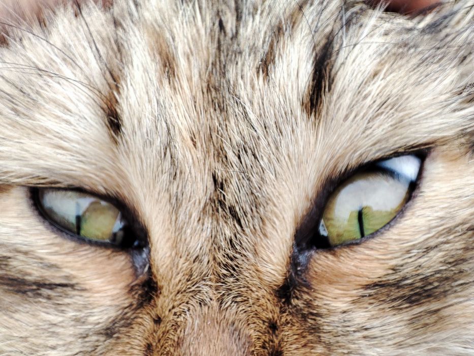 Iphone XR 64gb емкость 78