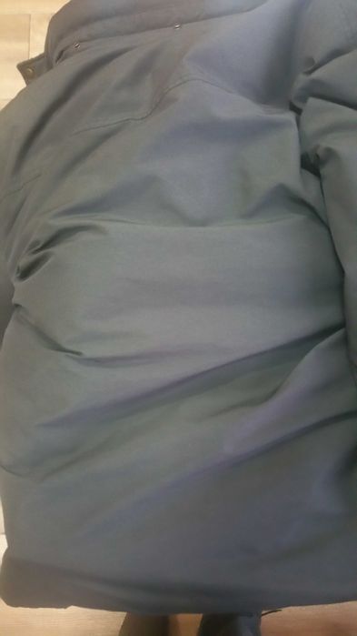 Пухенка Томи Хилфигър