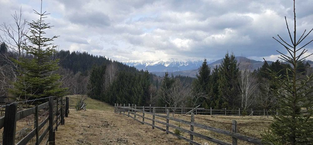 Teren intravilan construibil – Bran Zona Poarta | Vedere munți | Utilități | Acces DN73