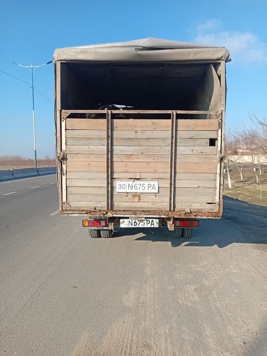 Газел сотилади Gazel