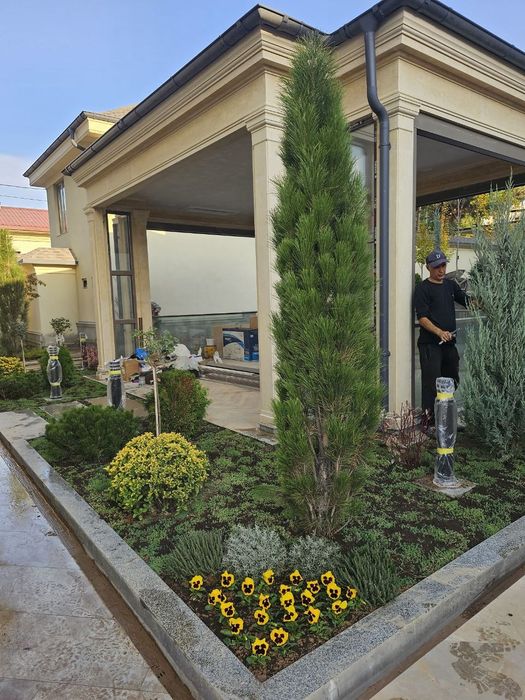 Ландшафтная компания ENTER GREEN LIFE