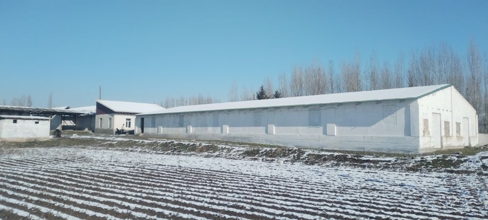 Ховли уйжой 30 сотих сотилади