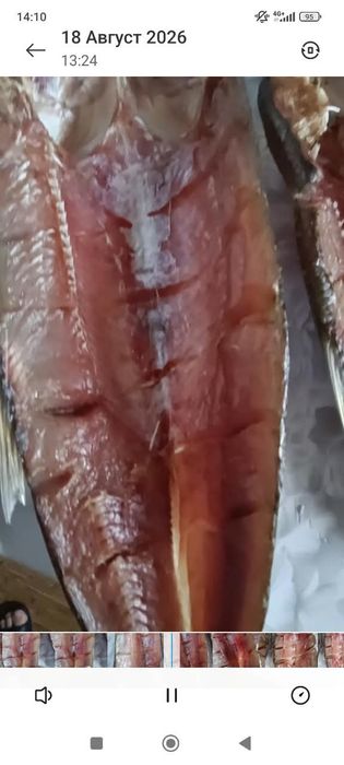 Рыба сухая свежего посола