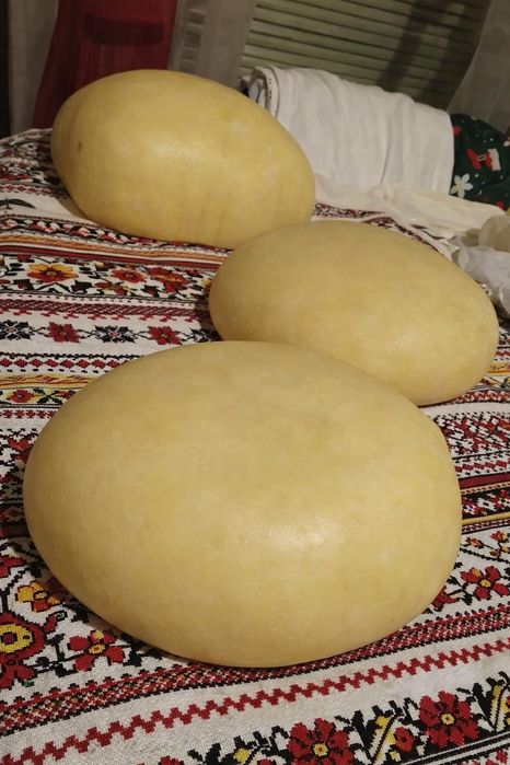 Vând caș de vacă gras