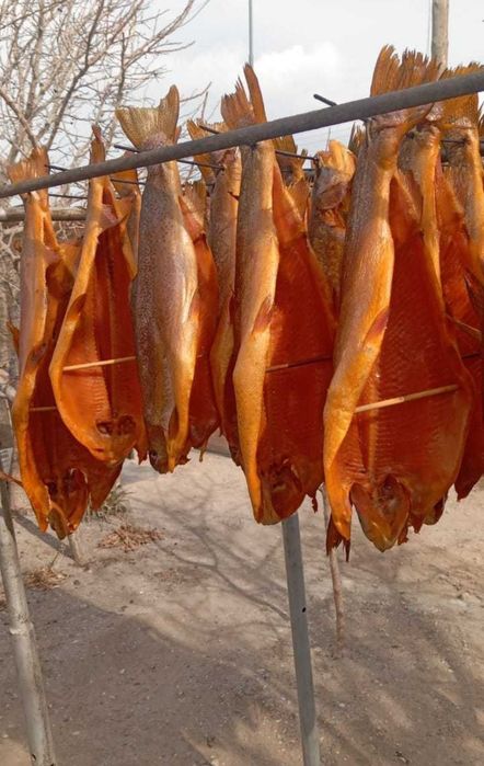 Продам Копчёную форель
