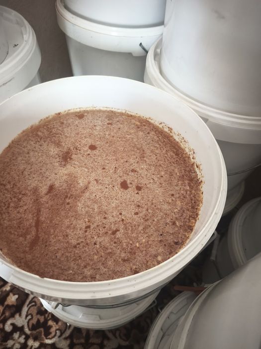 Продам мед горный только оптом ВКО