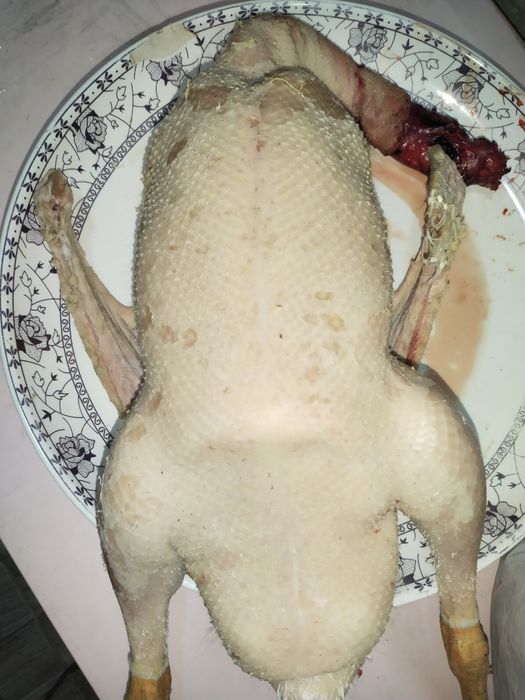 Свежее мясо гуся