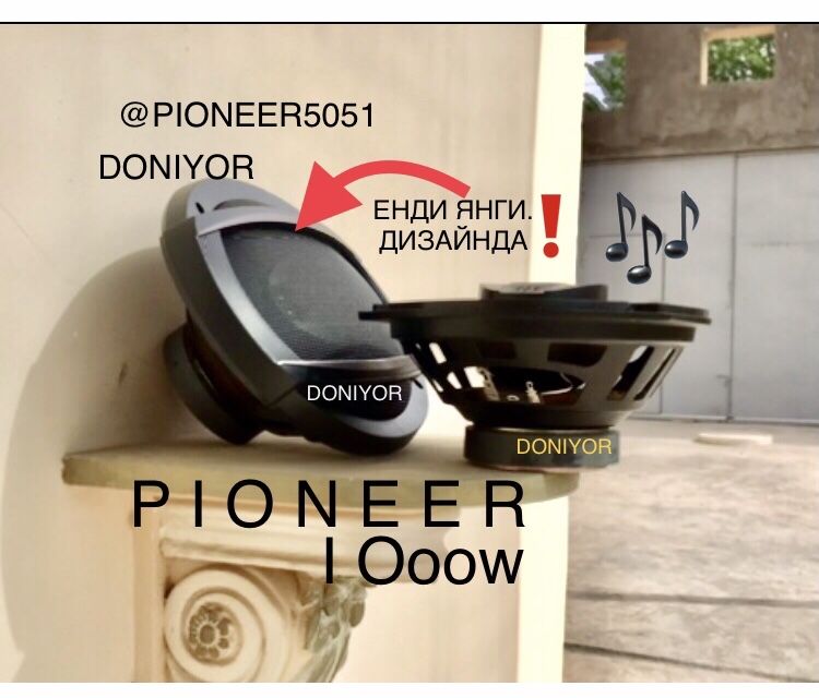 Pioneer 1000W kalonka 2ta калонка yangi pishalkali chekasi rezinali
