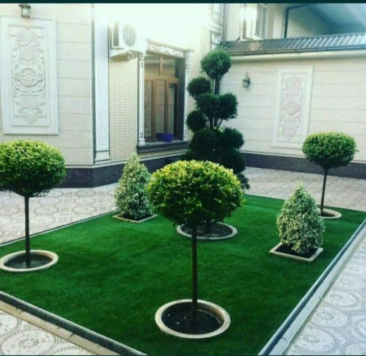 Рулонный газон по супер цене.