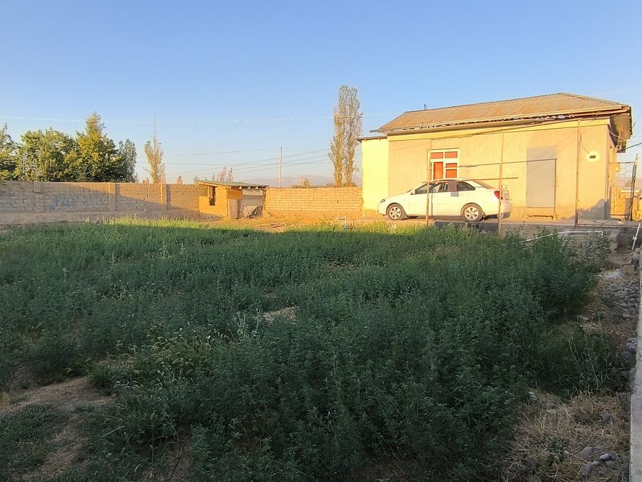 Тошкентга яқин, бизнес учун ҳам, яшаш учун ҳам идеал – 2 хонали ҳовли