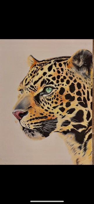 ръчно нарисувани картини