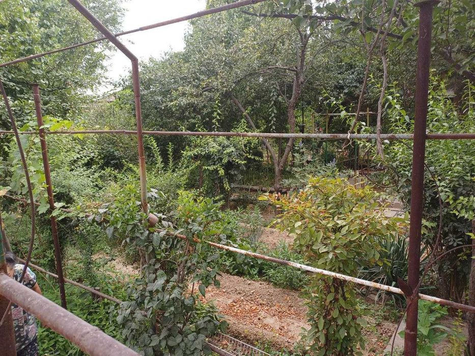 Земельный участок Яшнабад, 6 соток, квадратной формы=