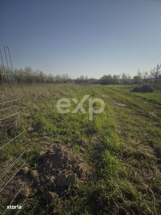 De vanzare teren la munte , in Rucar , zona Iezer Papusa, Arges,