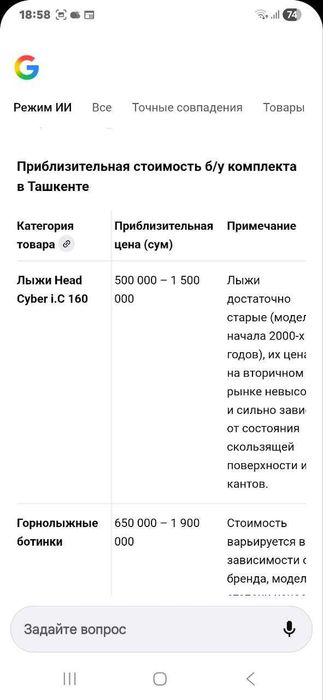 Горные лыжи в комплекте