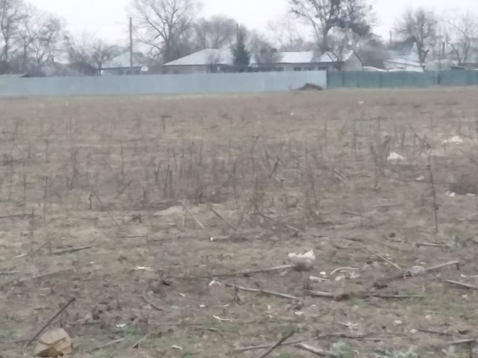 Vand teren Intravilan  Oancea ( Romanu)