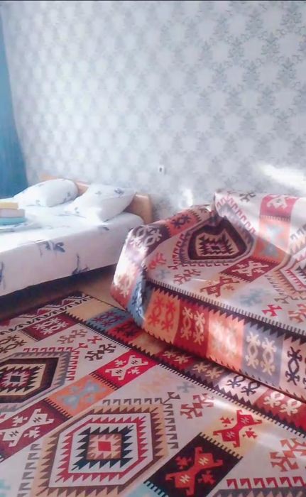 Чистая ПО Космической