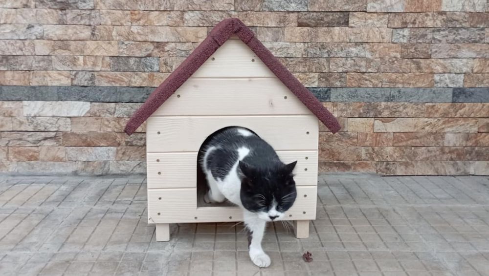 Дървена къща за котки и малки кучета котешка къща кучешка къща