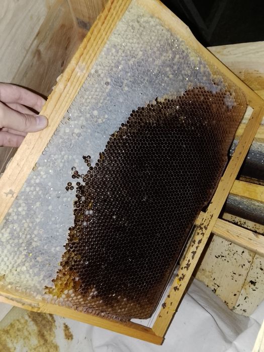 Уля для пчело. Пчеловодства