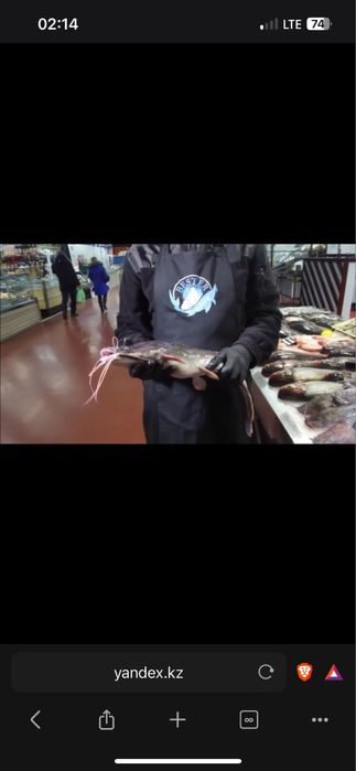 Продам рыбу афиранский сом