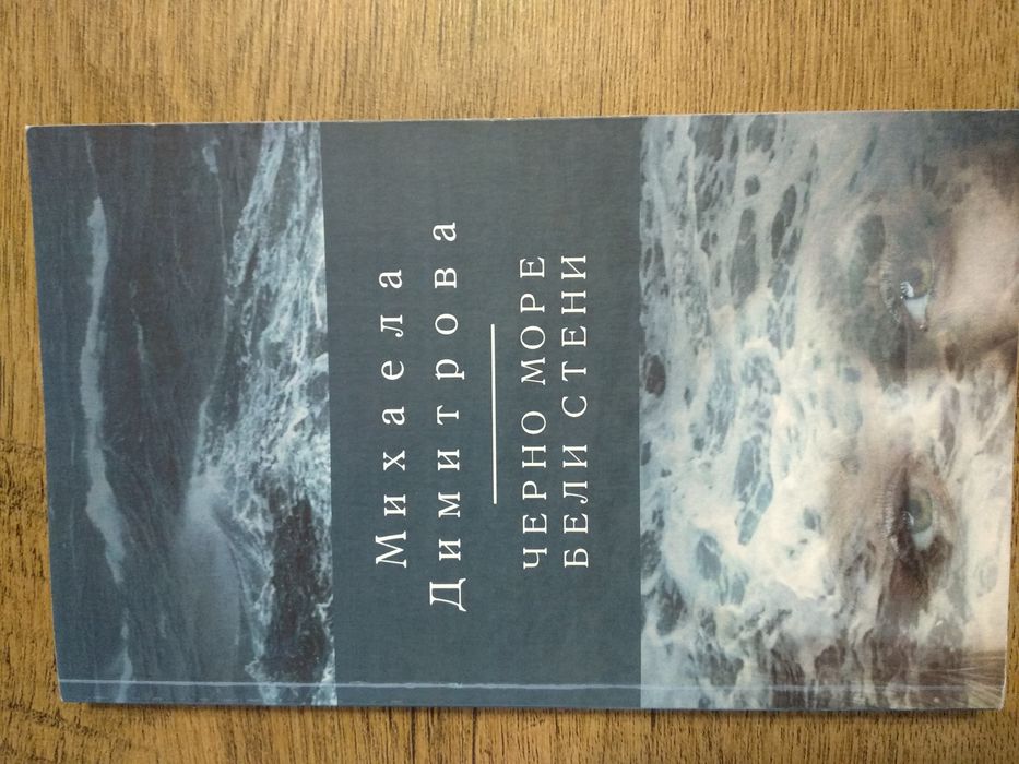 Черно море бели стени, Дневникът, Къща за гости на плажа