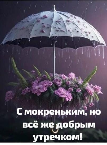 Джинсы новые недорого